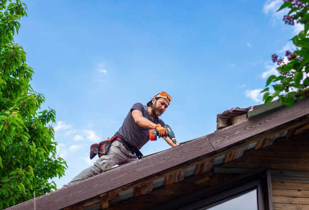 Best Roof Maintenance and Cleaning  in Toronto, OH