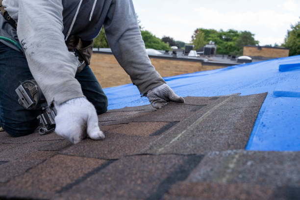 Best Roof Insulation Installation  in Toronto, OH
